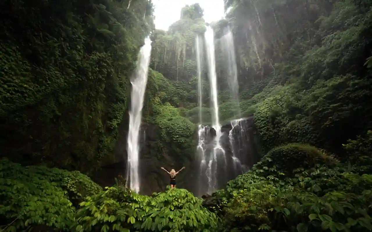 Nature & Waterfall