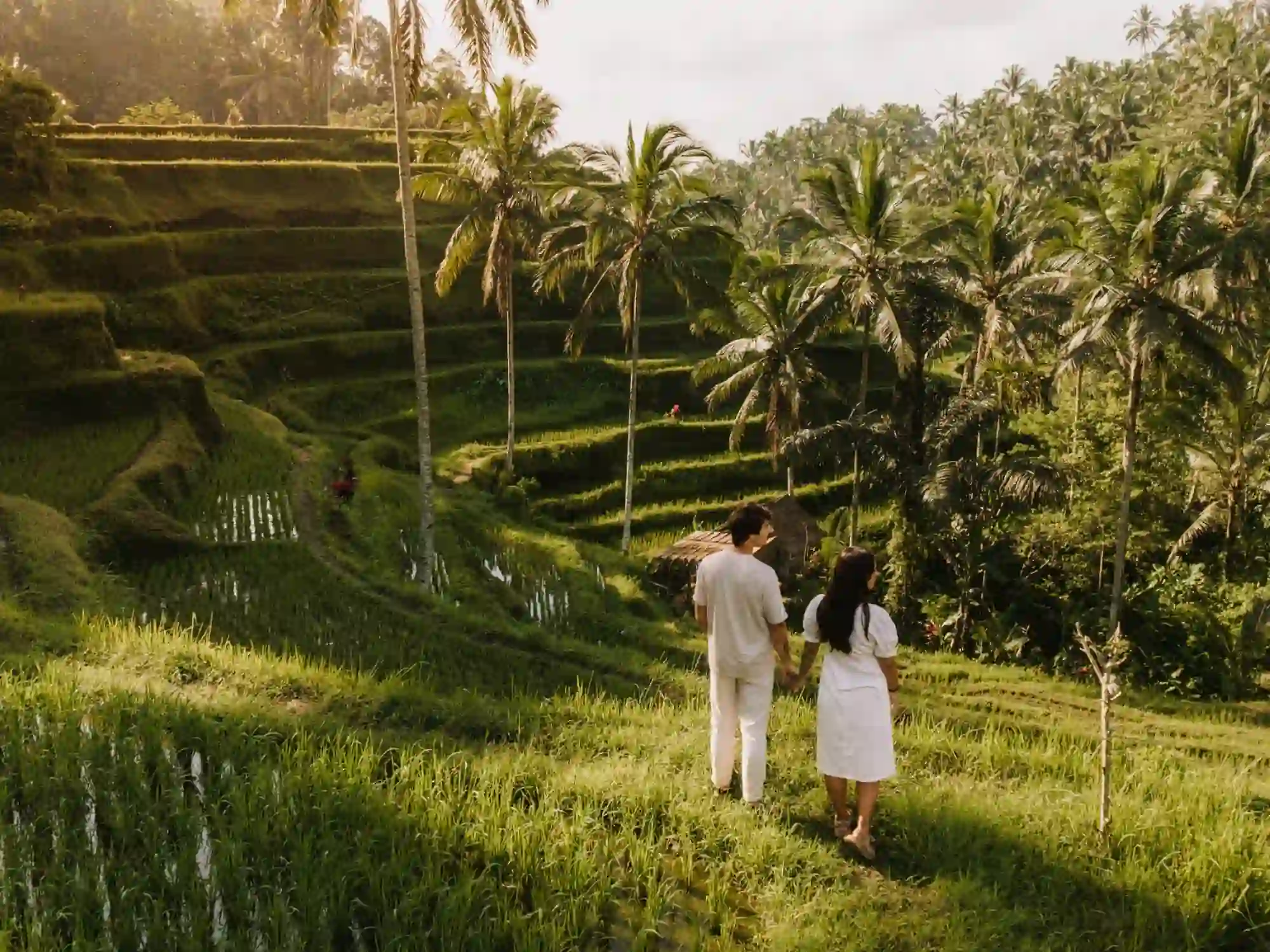 Best Bali Private Tour Itinerary Ideas for First-Time Visitors | Flexible Bali Tour Packages