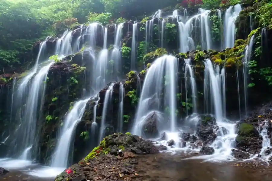 Active international travelers hiking down a lush tropical path toward a North Bali waterfall.