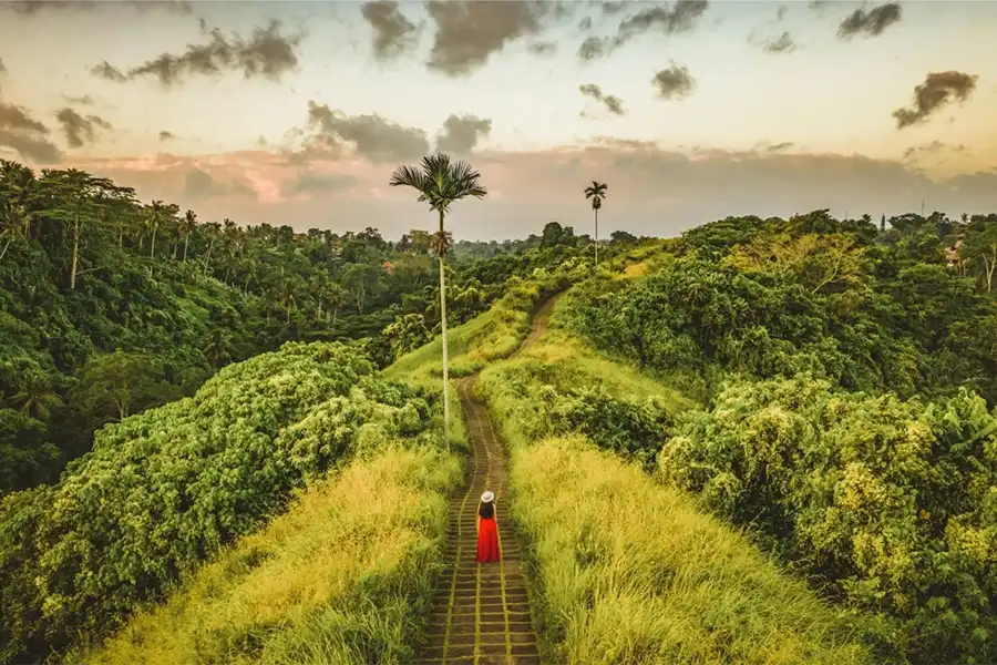 Travelers enjoying a scenic viewpoint during their Bali nature tour.