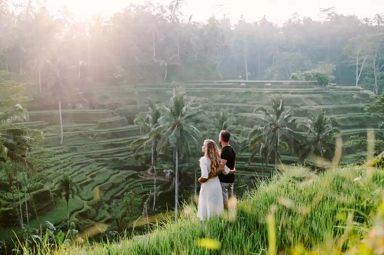 A lush green terraced rice valley in Bali viewed from a quiet nature trail.