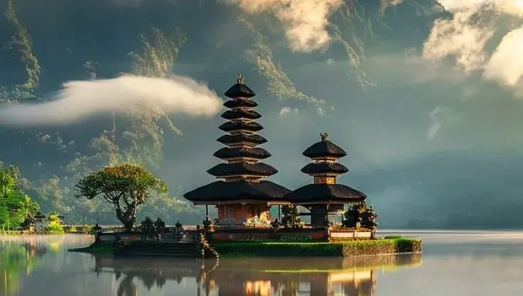 Comparing value and service quality across different tour options.