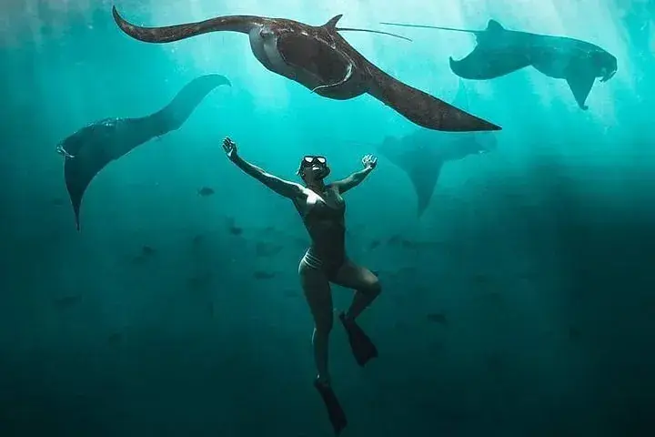 Bali coral reef snorkeling tour Nusa Lembongan