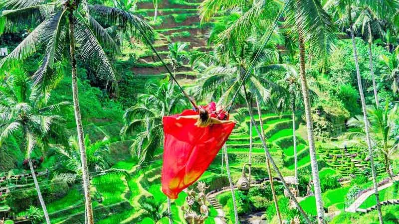 Travelers enjoying a panoramic viewpoint overlooking Bali's lush landscapes.