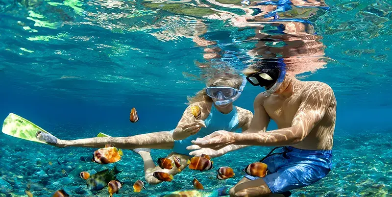 Snorkeling activity in the clear waters of Nusa Penida.