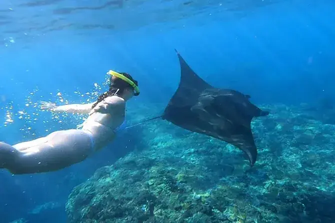 nusa penida snorkeling private bali tour