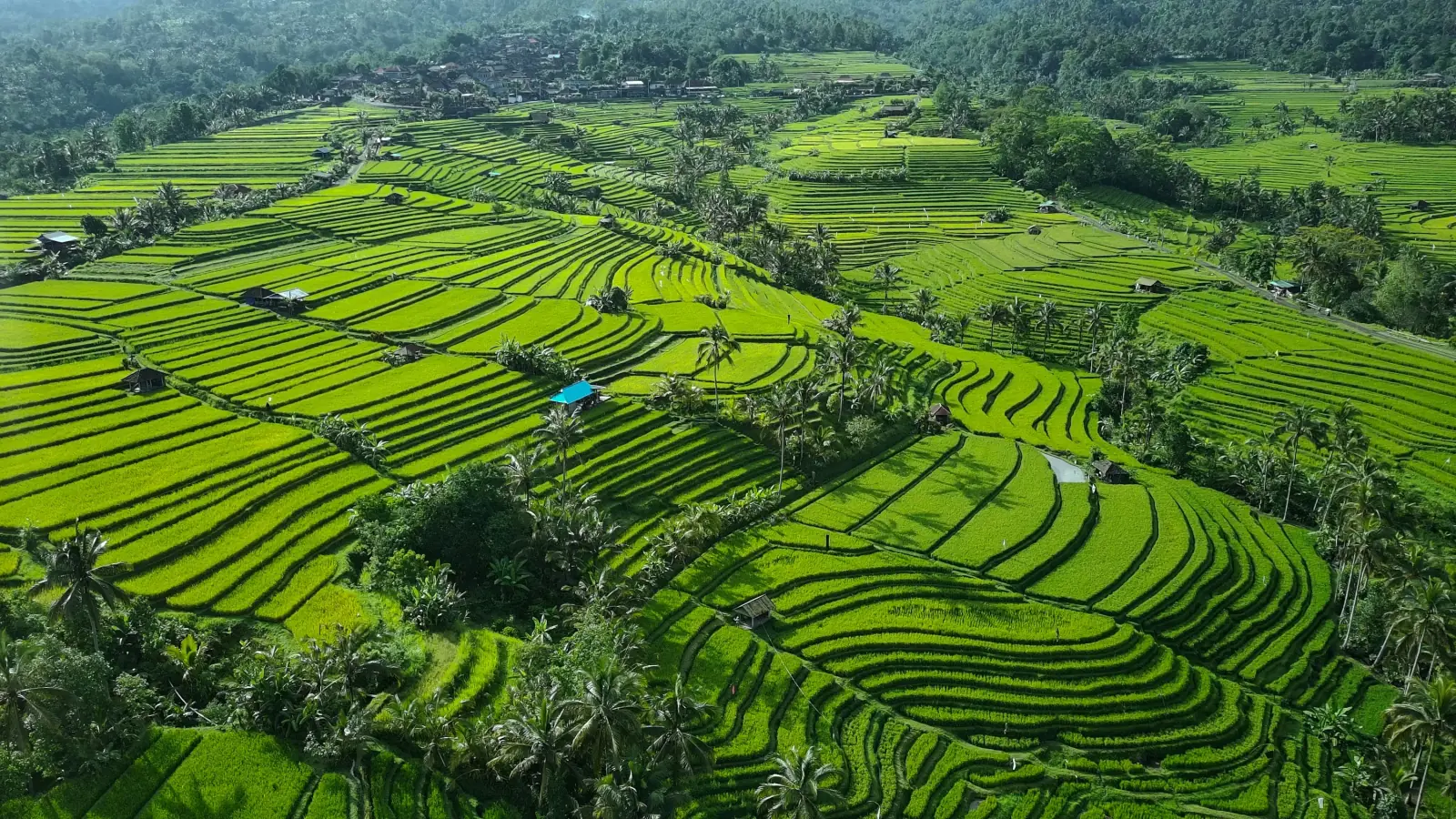 Uluwatu sunset photography tour Bali