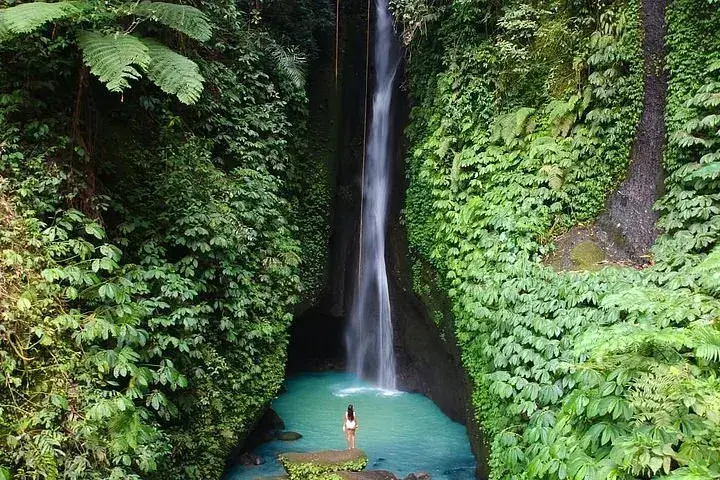 ubud waterfall private tour bali
