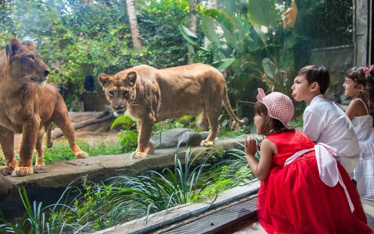Bali Zoo Family Tour | Wildlife Experience & Alas Harum Ubud Visit